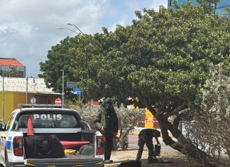 Obheto sospechoso cerca di Refineria di Aruba ta ocasiona alerta di bom na San Nicolas