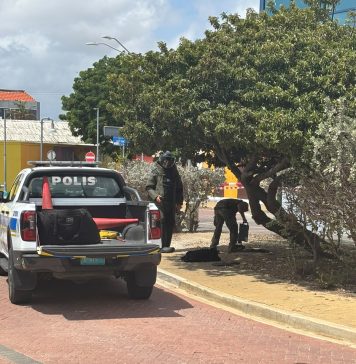 Obheto sospechoso cerca di Refineria di Aruba ta ocasiona alerta di bom na San Nicolas