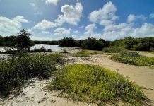 Proyecto di vivienda Burubundu: E riesgonan pa naturalesa, segun ACF