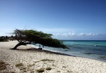 Secretario di Estado ta pone bista riba fin di “Relacionnan den Reino”: Kico esaki por nifica pa Aruba?