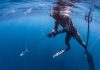 Piscadonan di Aruba ta cuestiona prohibicion di spearfishing y ta pidi cambio den ley