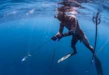 Piscadonan di Aruba ta cuestiona prohibicion di spearfishing y ta pidi cambio den ley