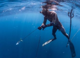 Piscadonan di Aruba ta cuestiona prohibicion di spearfishing y ta pidi cambio den ley