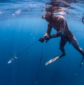 Piscadonan di Aruba ta cuestiona prohibicion di spearfishing y ta pidi cambio den ley