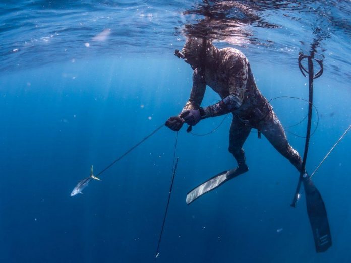 Spearfishing